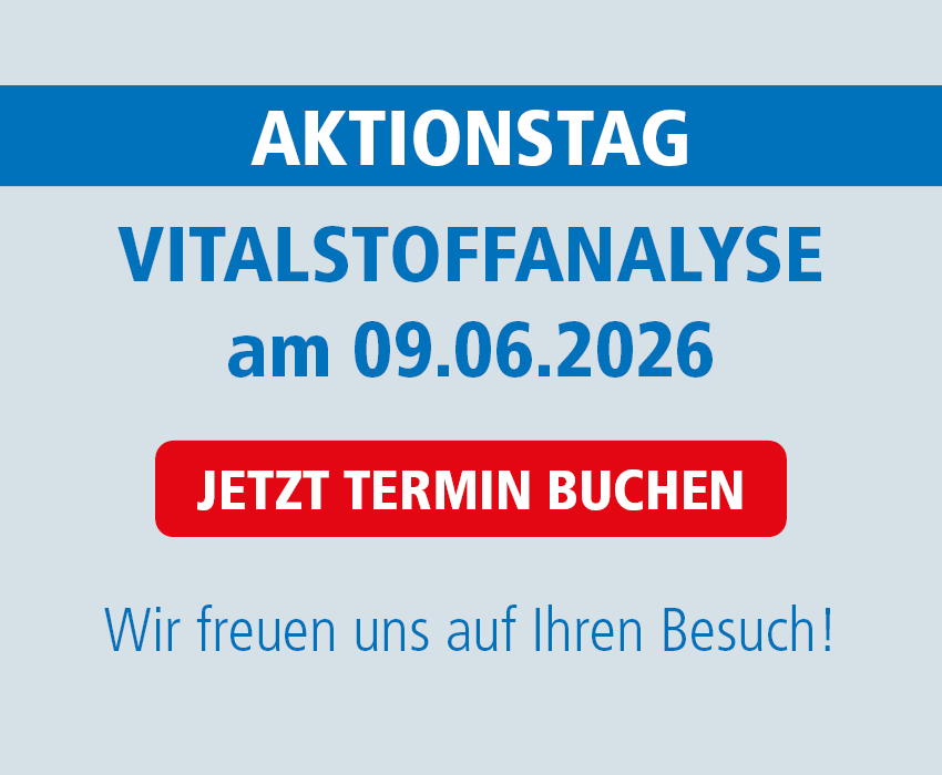 Intro Medien